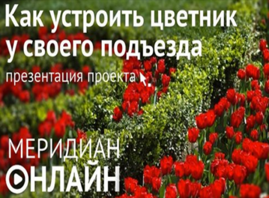 Москвичам расскажут о том, как благоустроить цветник у подъезда в «Меридиане»