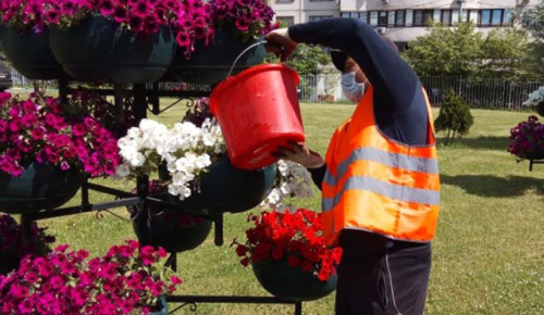 Коммунальщики из Черемушек ухаживают за клумбами и цветниками в районе