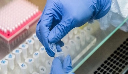 Во взрослой поликлинике на улице Цюрупы можно сдать бесплатный тест на коронавирус