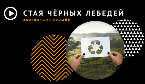 В центре «Меридиан» состоялась онлайн – лекция по экологии
