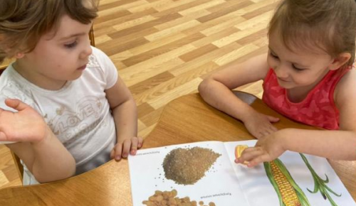 В детском саду Черемушек прошел познавательный урок о хлебобулочных изделиях