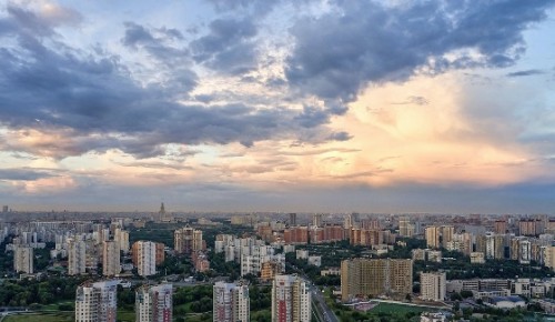 Сергунина: Более 200 галерей и арт-аукционов смогут получить городские субсидии