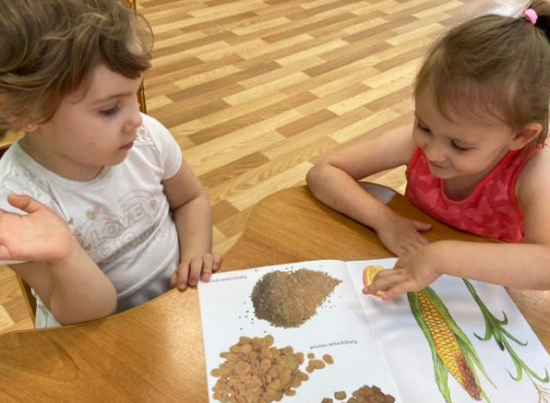 В детском саду Черемушек прошел познавательный урок о хлебобулочных изделиях