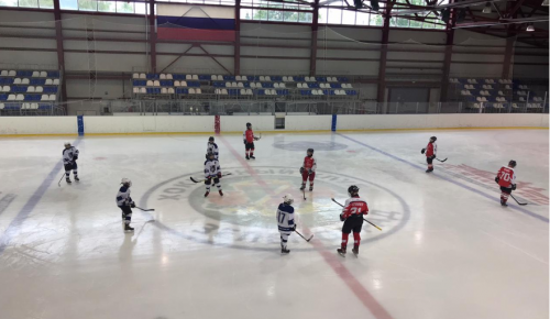 Юные хоккеисты из Черемушек стали лучшими в Москве