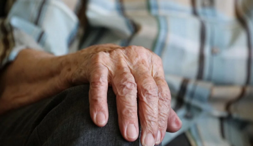 «ЕР» проводит неделю приемов пожилых граждан по социально-правовым вопросам