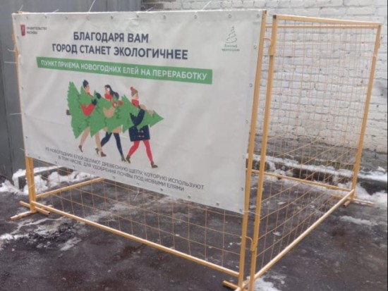Жители Черемушек смогут сдать елку на переработку в шесть пунктов по приему в рамках акции «Ёлочный круговорот»