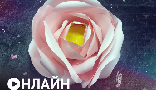 К 14 февраля центр «Меридиан» представил мастер-класс художника-декоратора Арины Грудиной 