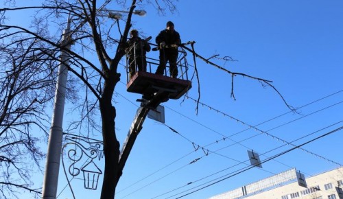 Жилищник Гагаринского района срезал опасно висящую ветку дерева на Ломоносовском Проспекте