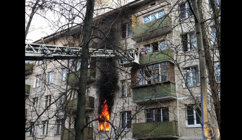 На Ленинском проспекте пожарные спасли пятерых человек и кота от пожара