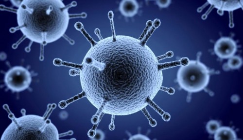 В Москве усиливают меры по ограничению распространения коронавируса 