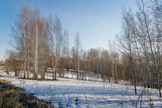 Эколого-просветительский центр «Воробьёвы горы» временно приостановил приём посетителей