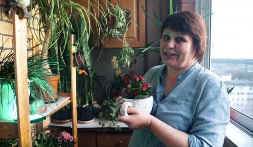 Как перевезти комнатные растения на дачу расскажет «Московское долголетие»