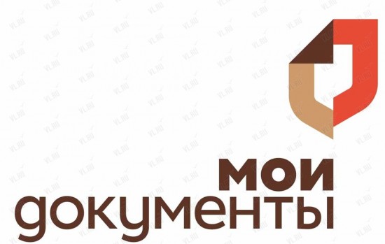 Более 35 тысяч документов выдали центры госуслуг с 25 мая