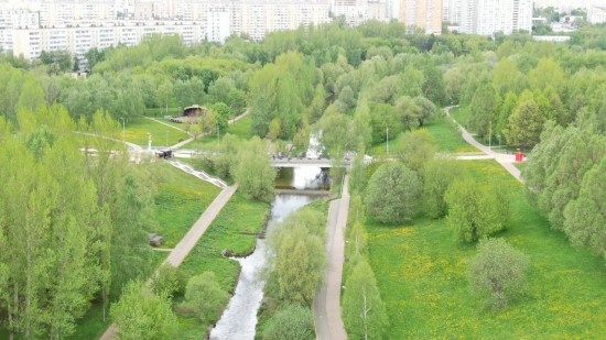 Депутат Мосгордумы: Озеленение города играет весомую роль в повышении комфортности городской среды