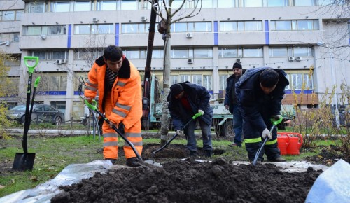 В Гагаринском районе проводят работы по озеленению и благоустройству района 