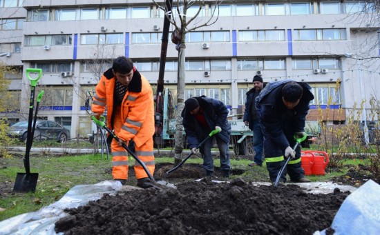 В Гагаринском районе проводят работы по озеленению и благоустройству района 