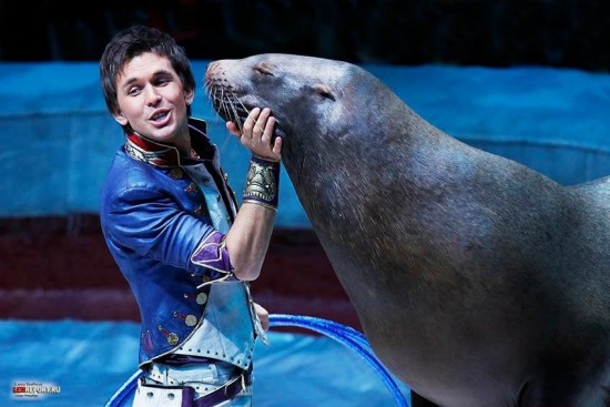 В Большом Московском цирке пополнение в семействе морских львов