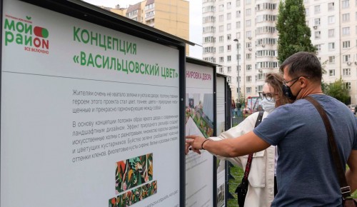 В московских районах прошли презентации проектов благоустройства дворовых территорий