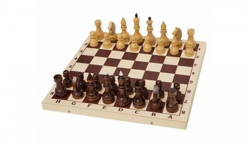 Воспитанники школы имени М.М. Ботвинника победили в международном шахматном матче 