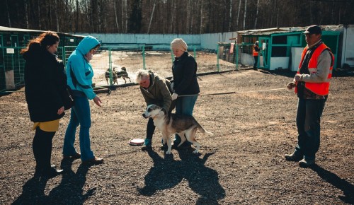 Депутат МГД Александр Козлов: Заводить домашнее животное нужно, понимая ответственность