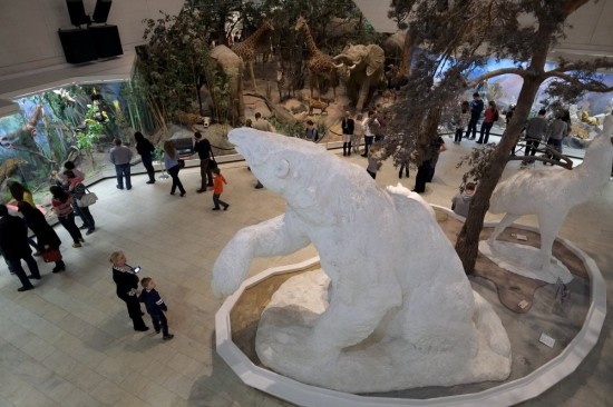 В октябре открылась выставка «Животные в резьбе белокаменных храмов Древней Руси» в Дарвиновском музее