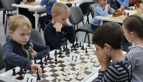 Воспитанники школы им М.М. Ботвинника завоевали путёвки на онлайн-первенство мира по быстрым шахматам 