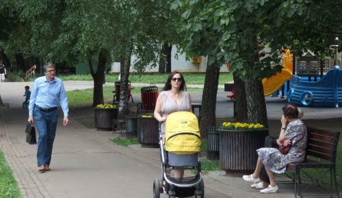В районе Коньково появится новая пешеходно-прогулочная зона