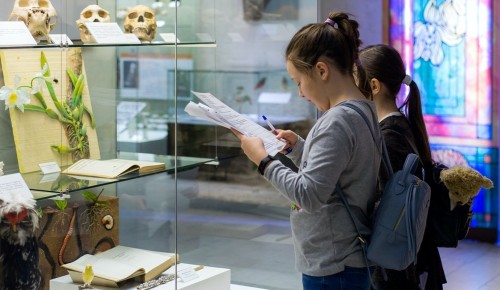 В Дарвиновском музее можно пройти увлекательный онлайн-квест