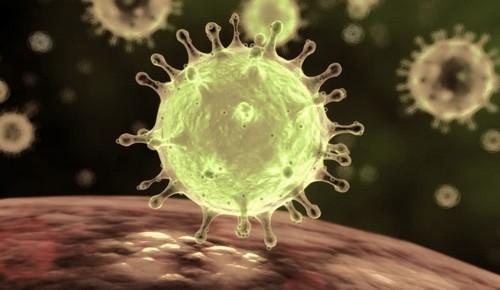 Специальный раздел о профилактике коронавируса появился на mos.ru