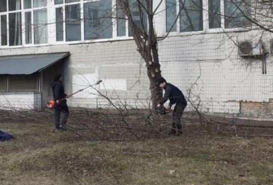 Сотрудники Жилищника района Коньково проводят обрезку деревьев на территории района