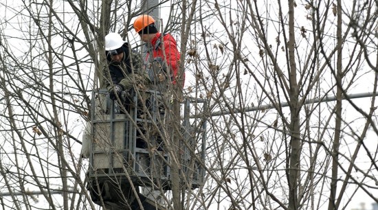 Кронирование деревьев провели в районе Коньково на нескольких улицах