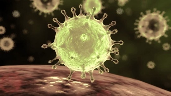 Специальный раздел о профилактике коронавируса появился на mos.ru