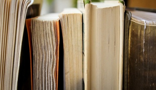 Читальни района Коньково сообщили, как продлить срок сдачи книги