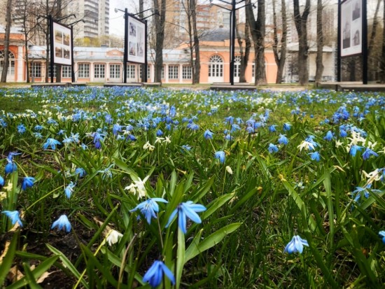 Развлекательную программу в прямом эфире Instagram организует Воронцовский парк 1 мая