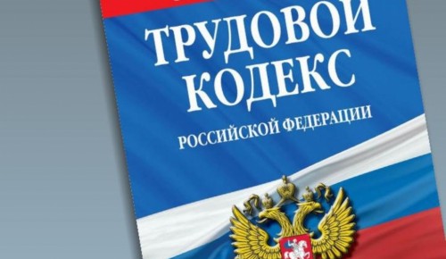 Комиссия Мосгордумы поддержала законопроект о закреплении в ТК РФ возможности дистанционной работы