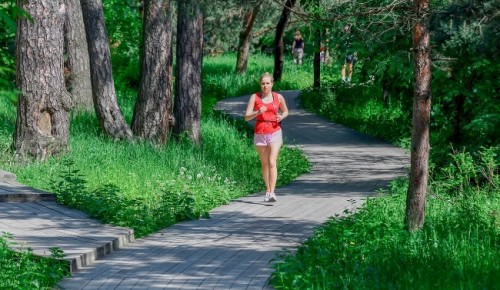 Потренироваться на свежем воздухе можно в Воронцовском парке