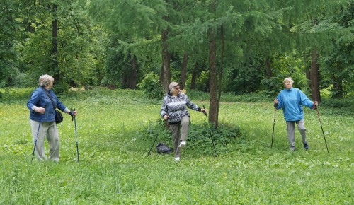 Спортсмены серебряного возраста начали заниматься в Битцевском лесу