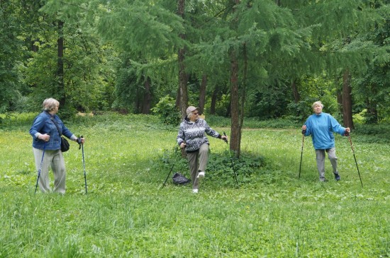 Спортсмены серебряного возраста начали заниматься в Битцевском лесу
