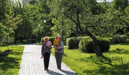 Яблоневый сад в Конькове признан одним из лучших в ЮЗАО 