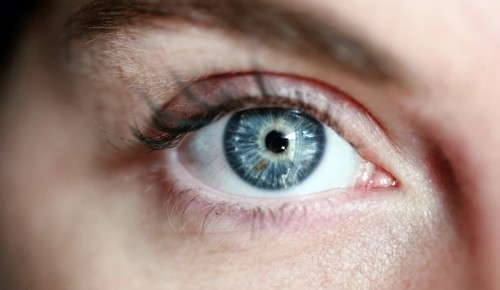 Жителям предлагают пройти тест на знание самых необычных фактов про зрение и глаза