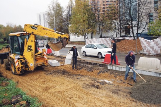 На улице Генерала Антонова посадят новые кустарники