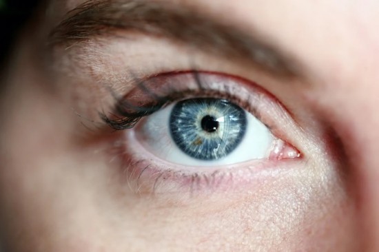 Жителям предлагают пройти тест на знание самых необычных фактов про зрение и глаза