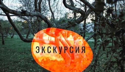 Галерея «Беляево» проводит онлайн-экскурсии по району