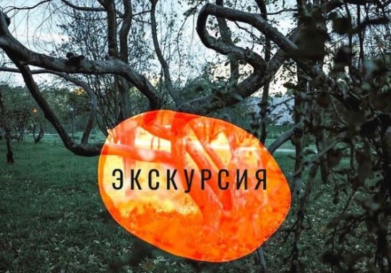 Галерея «Беляево» проводит онлайн-экскурсии по району