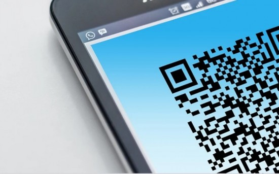 Вход в управу района Коньково осуществляется по QR-коду или СМС