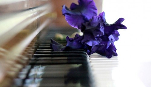 Галерея «Беляево» приглашает жителей района на бесплатный онлайн-концерт фортепианной музыки