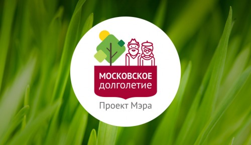 С 3 января начинают работу около 140 онлайн-групп «Московского долголетия»