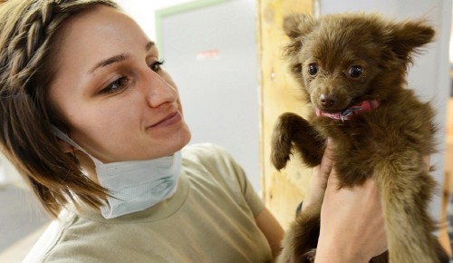 В Котловке открылась ветеринарная клиника