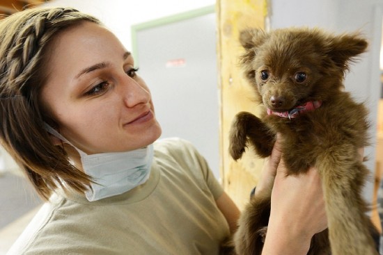 В Котловке открылась ветеринарная клиника