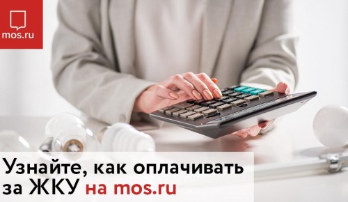 Проверить оценки ребёнка и оплатить ЖКУ вы сможете на сайте mos.ru